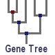 Gene tree (Not available)