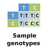 Sample genotypes (Not available)