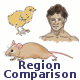 Region Comparison (Not available)